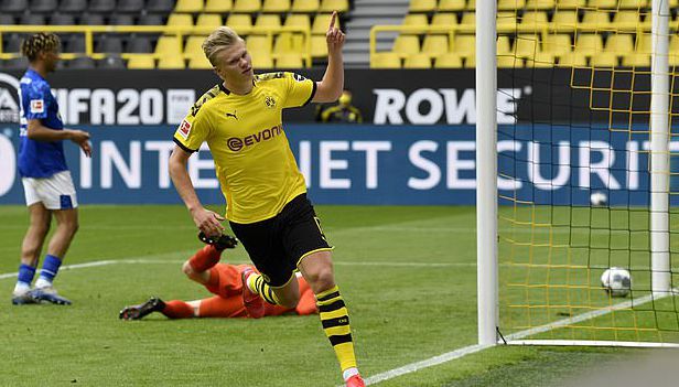 旨在培育下 旨在培育下