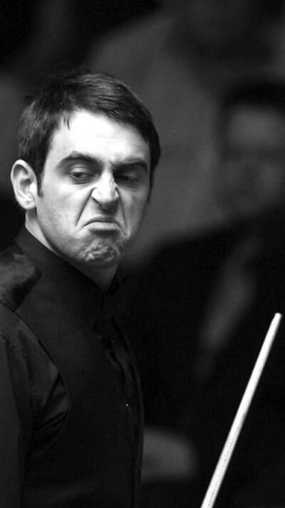 速度见长的 速度见长的